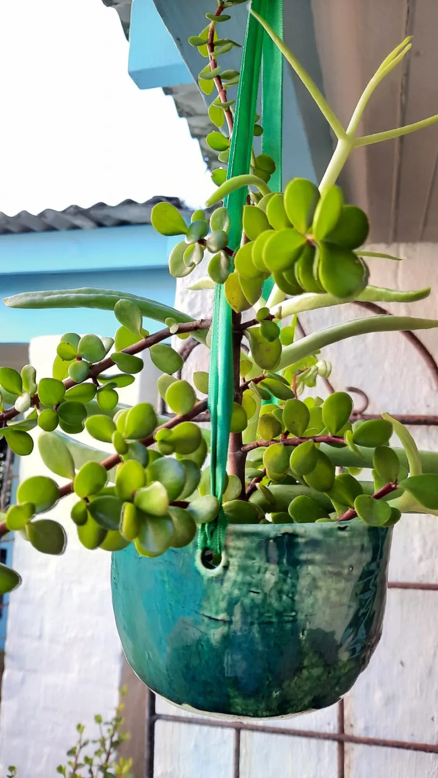 Ceramic Hanging Planter - Green