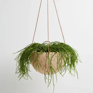 Dome Hanging Planter - Terrazzo Salt