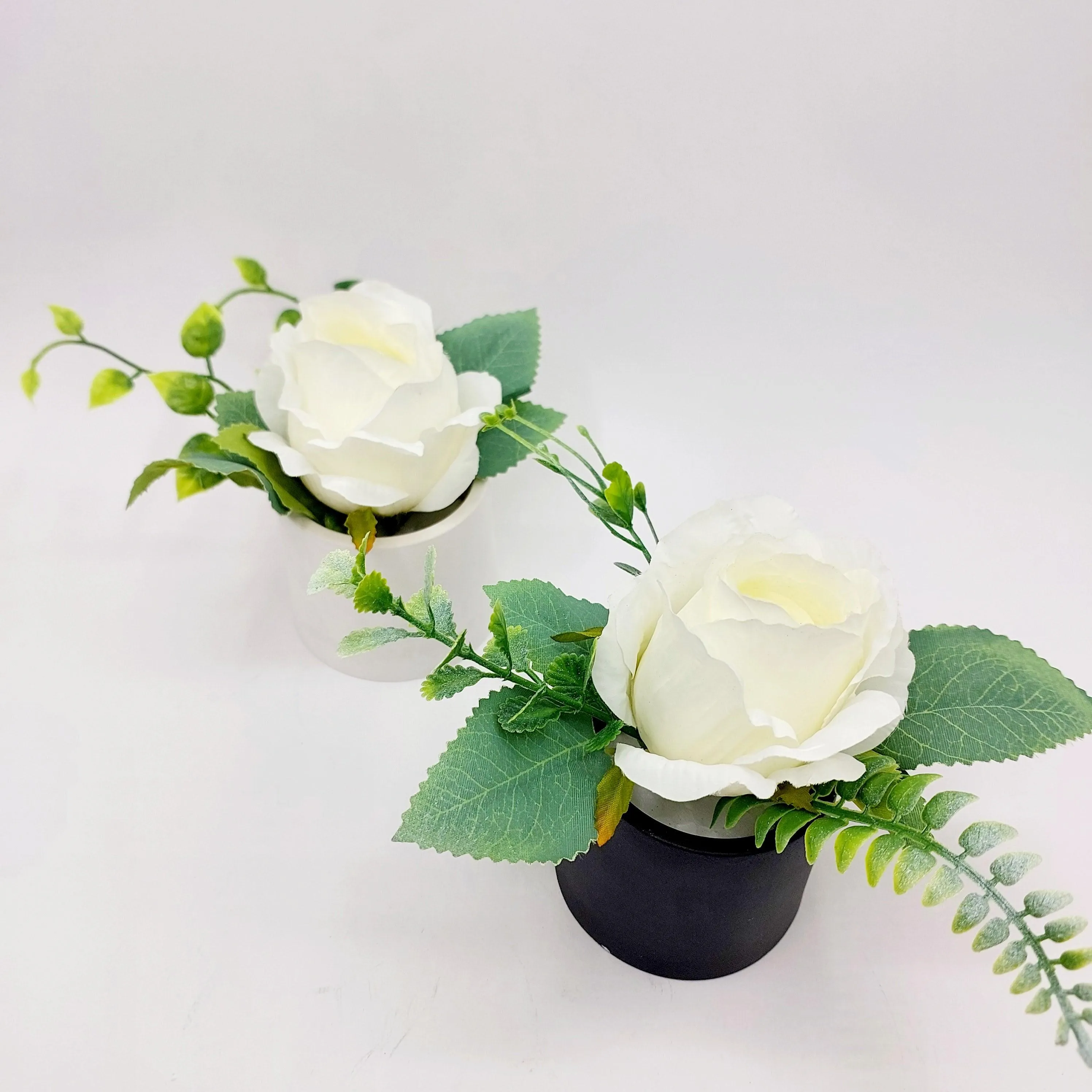 Flowers With Pots - White Rose - Him & Her - Set of 2