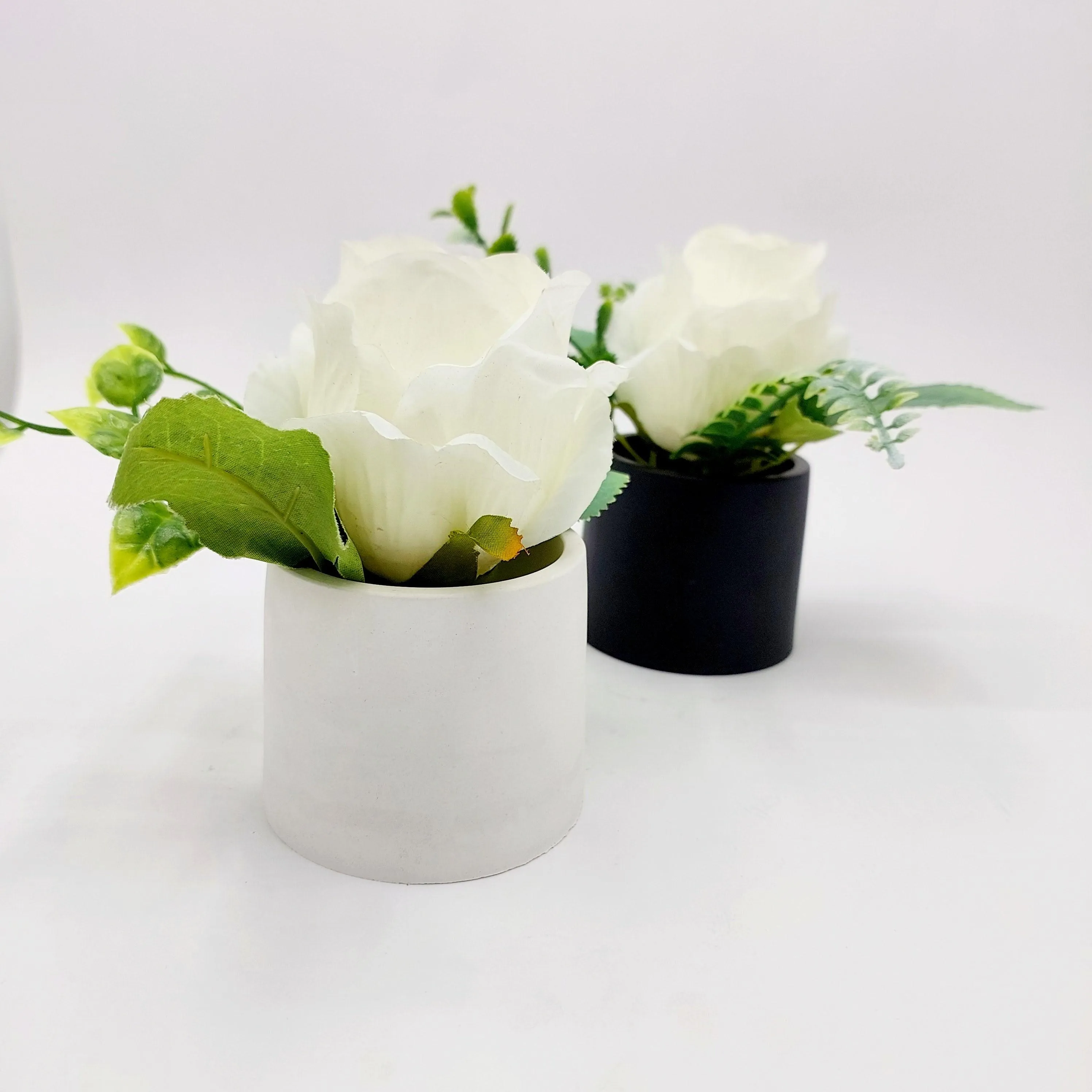 Flowers With Pots - White Rose - Him & Her - Set of 2