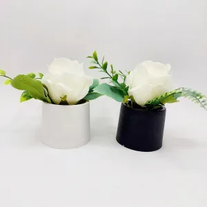 Flowers With Pots - White Rose - Him & Her - Set of 2