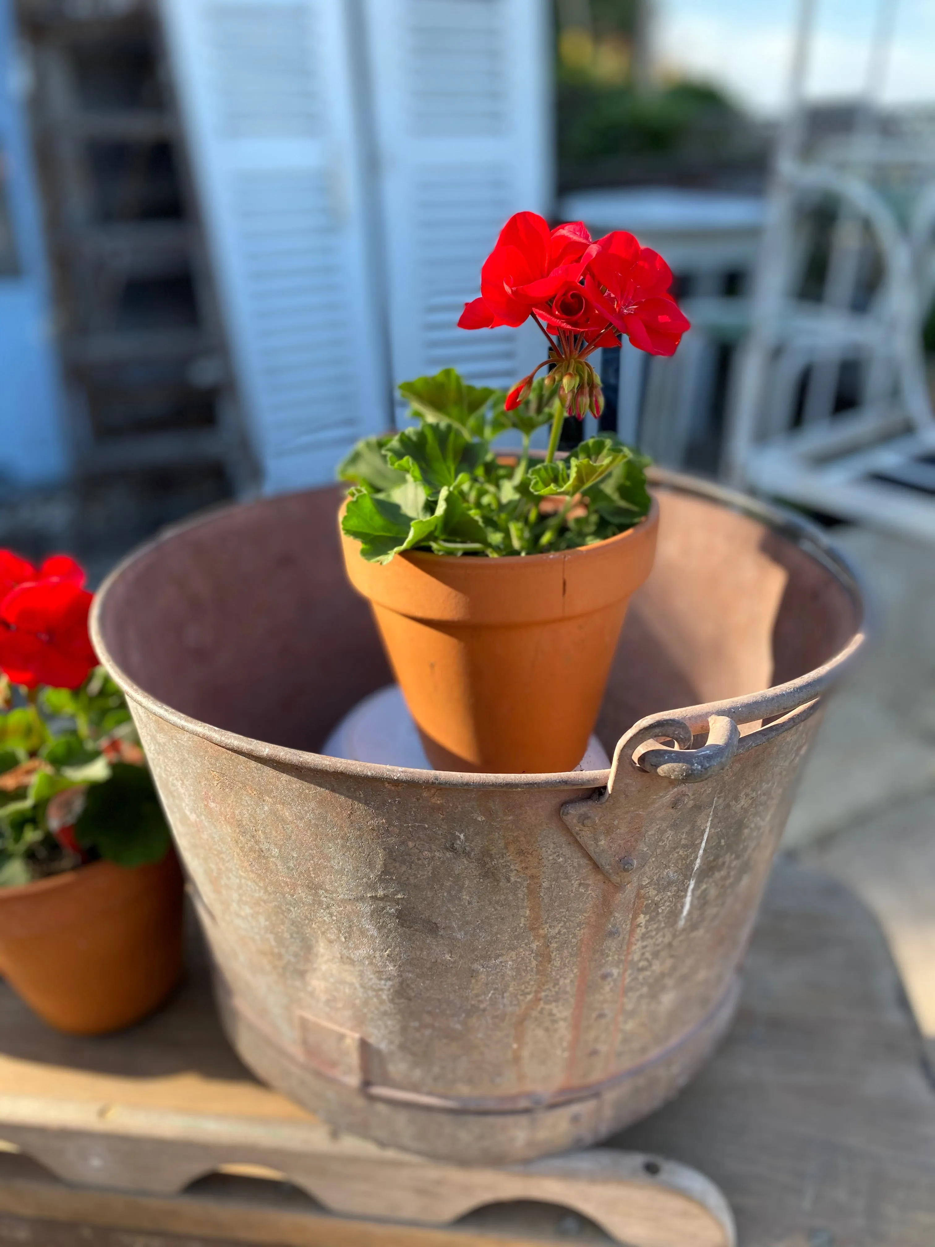 Galvanised bucket with handle