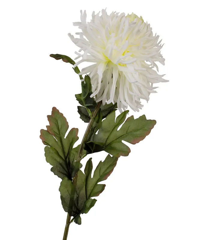 Garden Mum-White- Set of 2