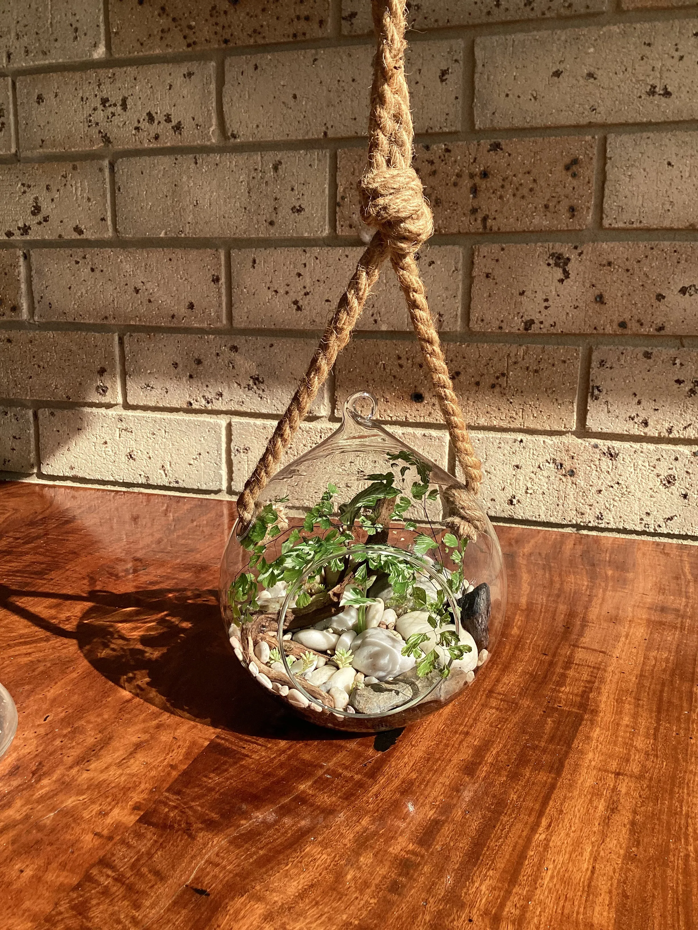 Hanging Orb Zen Garden