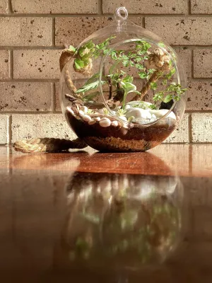 Hanging Orb Zen Garden