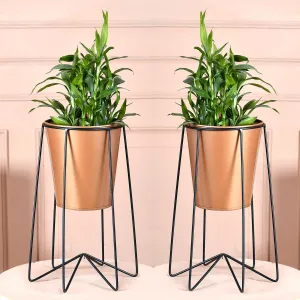 Homestic Planter | Planter Pot Stand for Outdoor | Plant Stand for Living Room | Gamla Stand for Home | Plant Stand for Home | Metal Pot Stand with Bucket Planter | Set of 2 | Gold