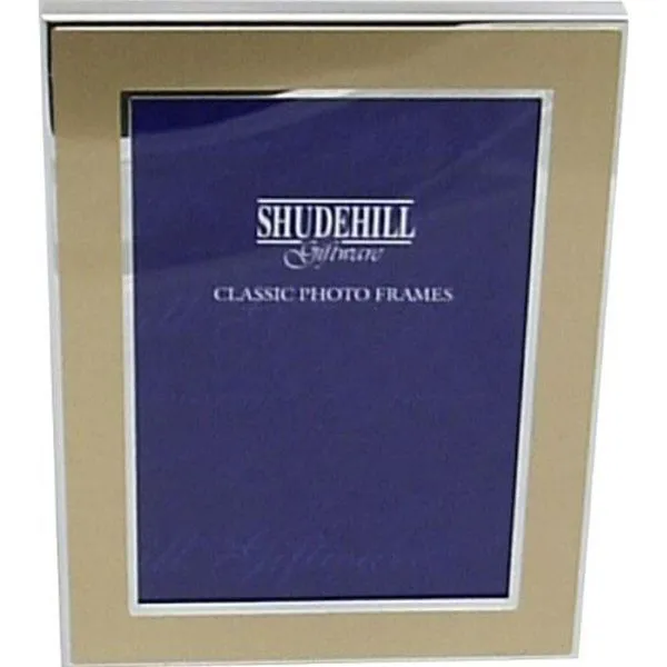 Joe Davies 2x3 Gold & Sliver Plated Photo Frame