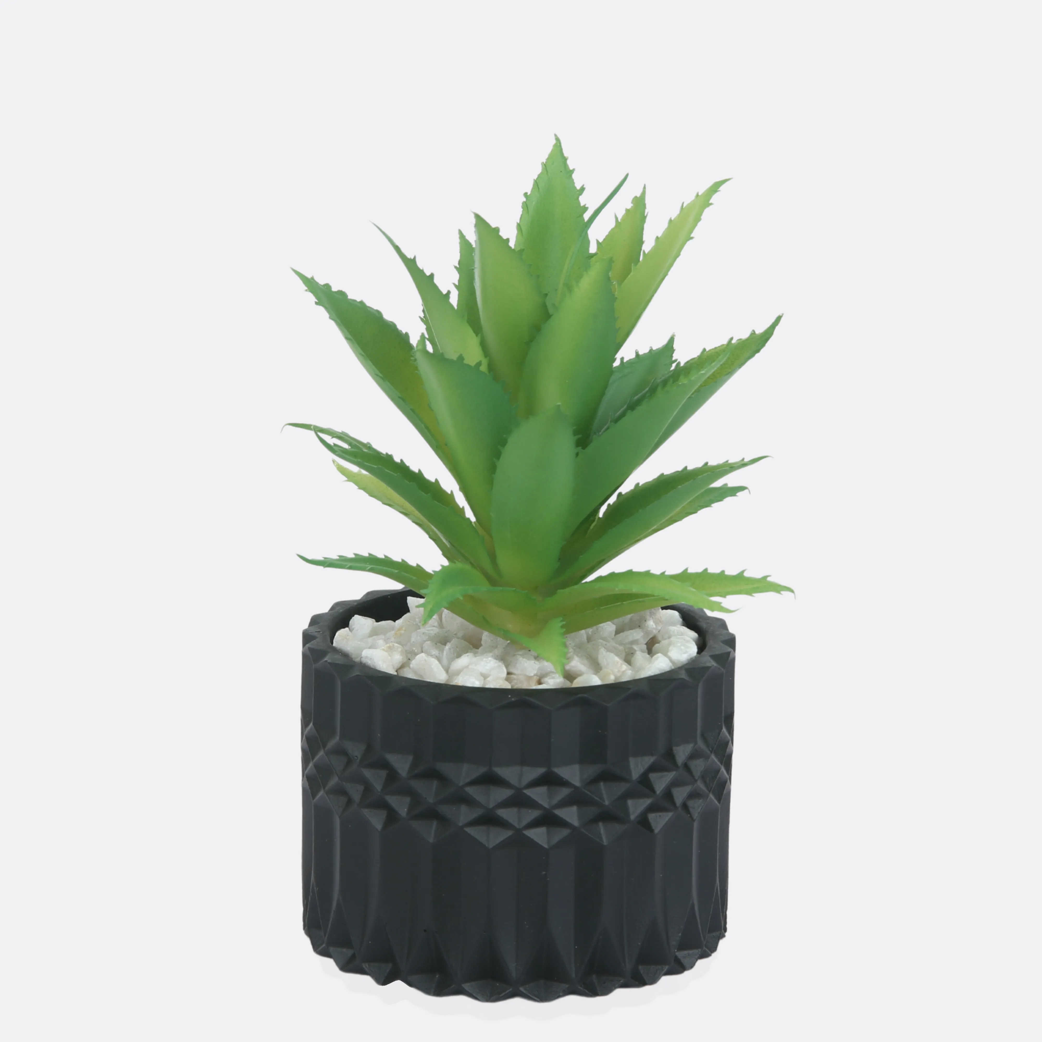 Jungle Planter With Sable Pot