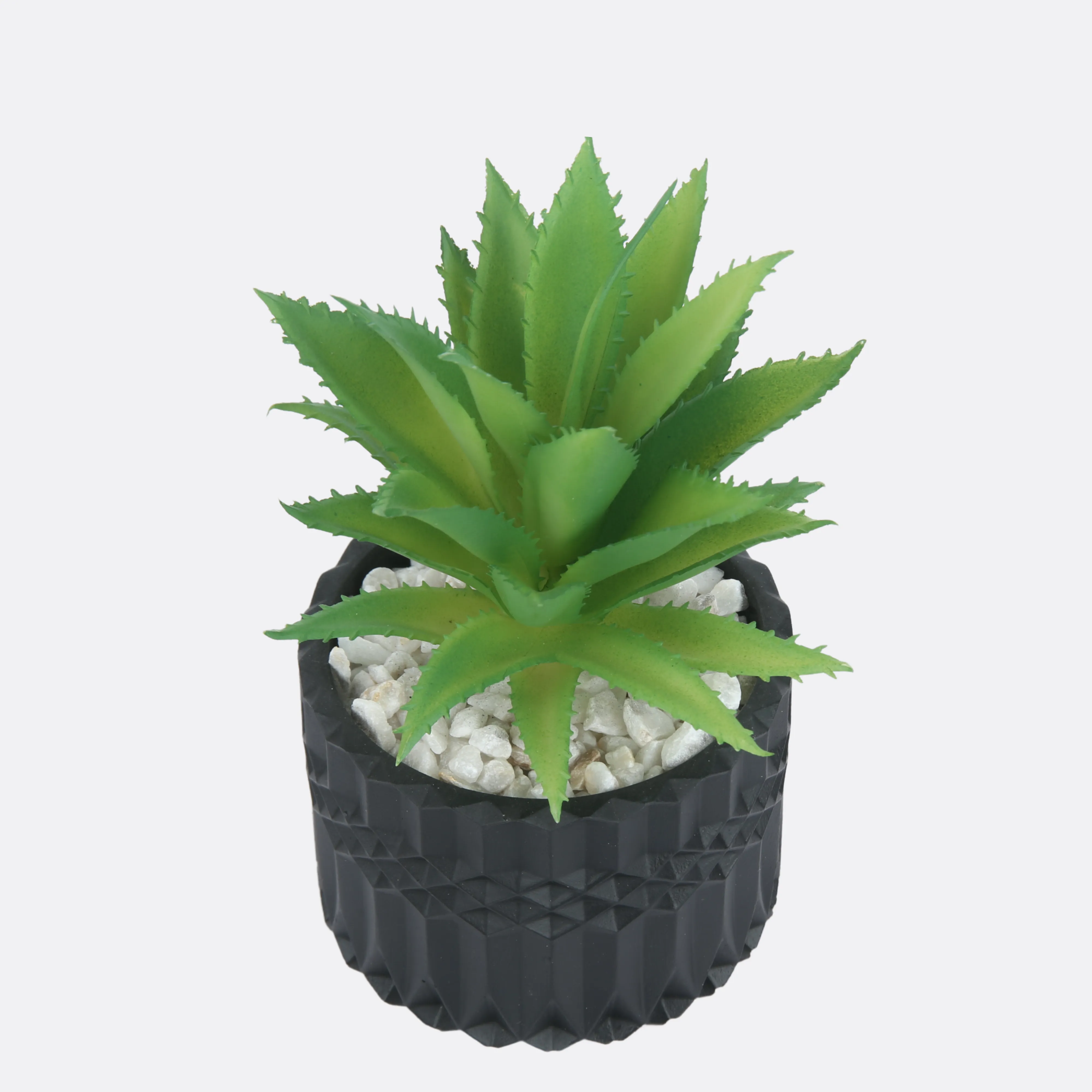 Jungle Planter With Sable Pot