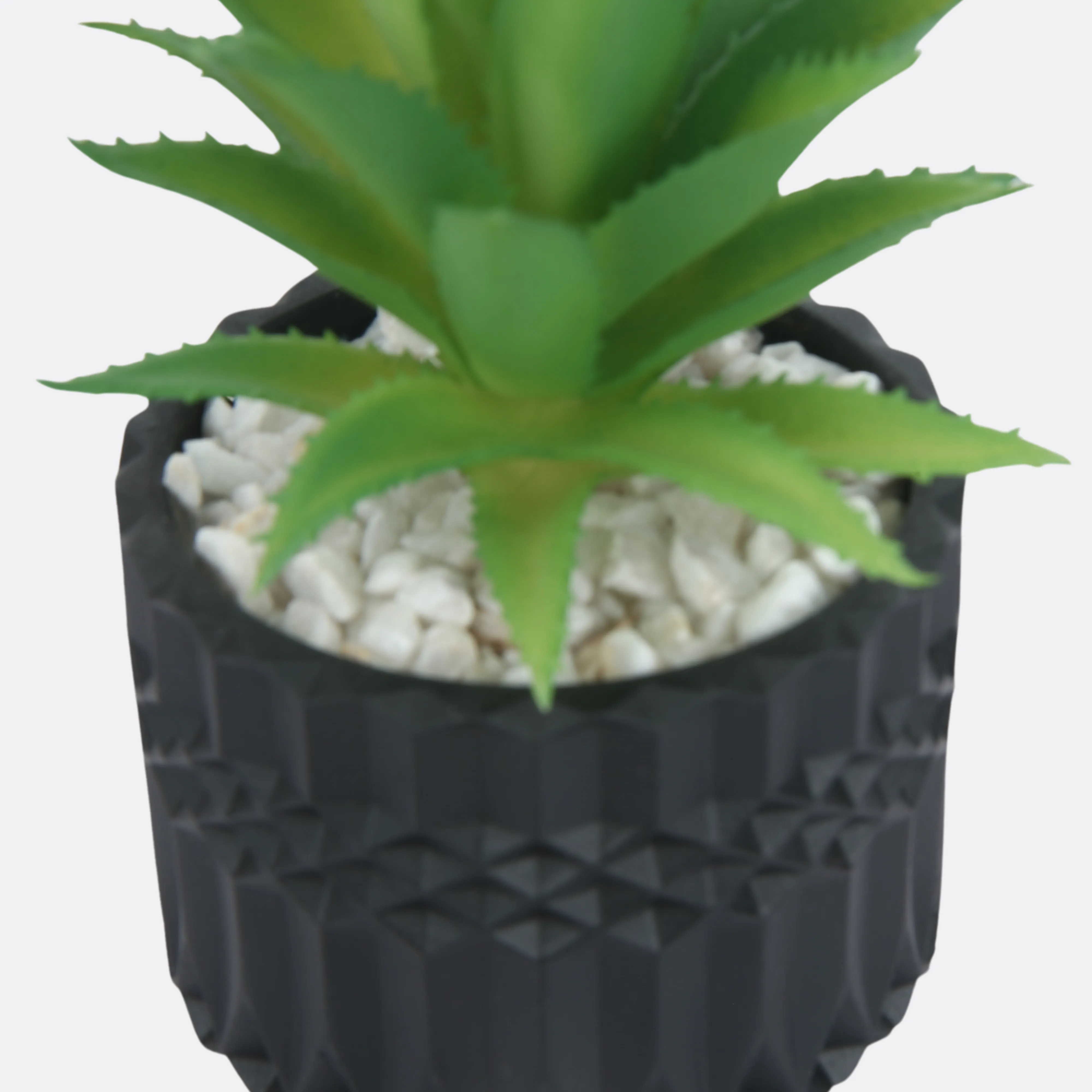 Jungle Planter With Sable Pot