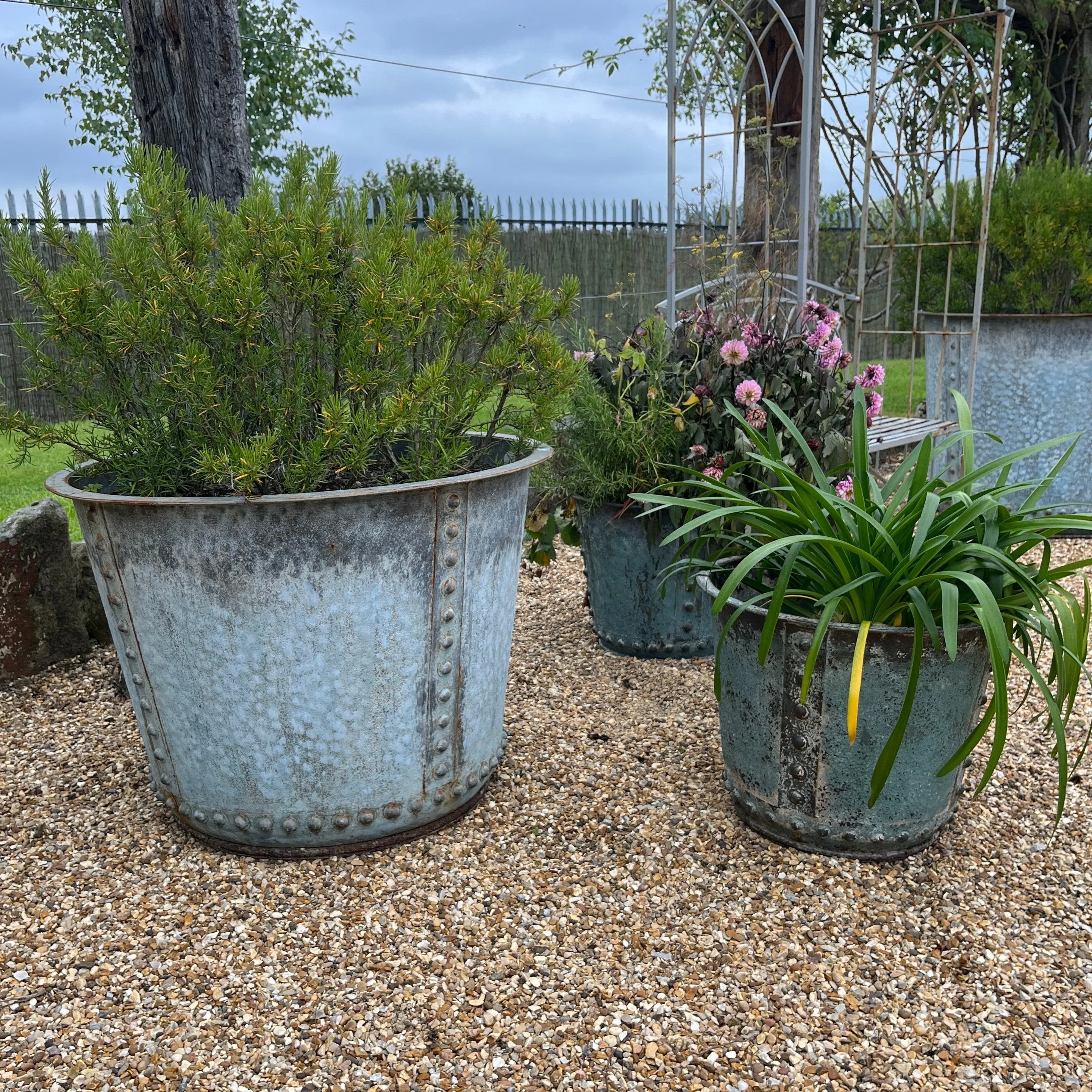 Rustic Verdigris Studded Iron Planter