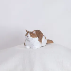 Ryoji Bannai - #18 Brown and white chilling cat