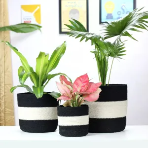 Twin Black Cotton Planter - (Pack of 3)