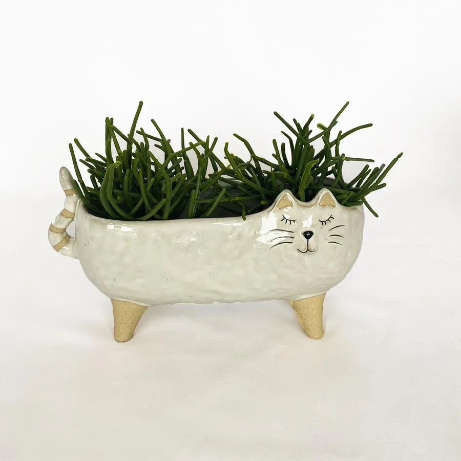 White Cat Planter