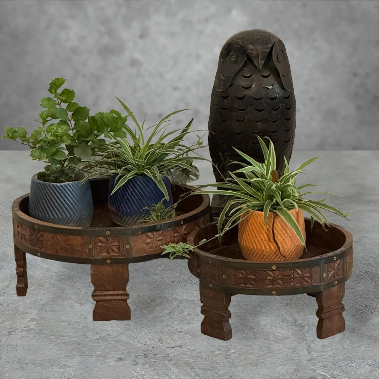 Wooden Planter: Gulistan 2