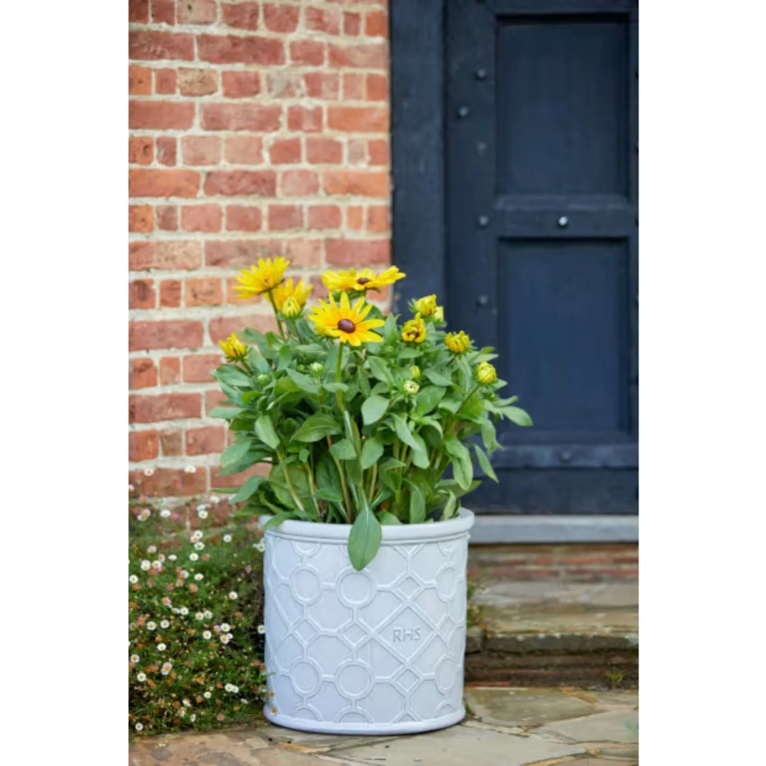 Woodlodge 24cm White RHS Cylinder Lattice Glazed Pot